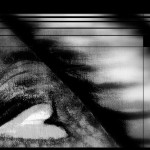 Sex and the City: Information or Manipulation?